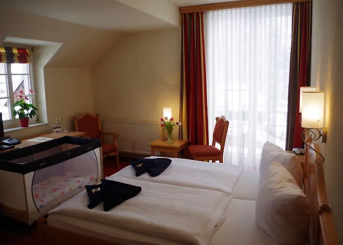 Alttolkewitzer Hof 3* Дрезден