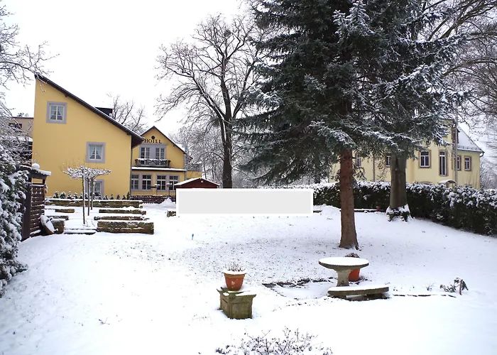 Отель Alttolkewitzer Hof 3*