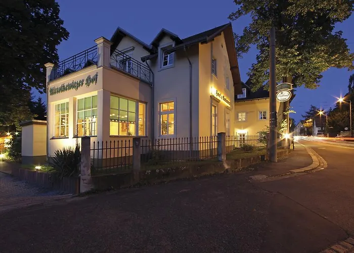 Отель Alttolkewitzer Hof 3*