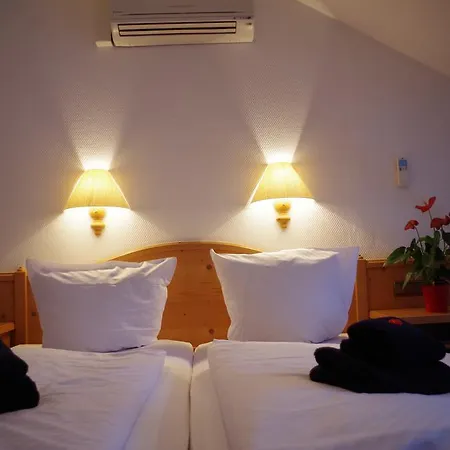 Alttolkewitzer Hof 3* Dresde
